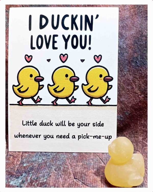 crystal duck - 图片 3