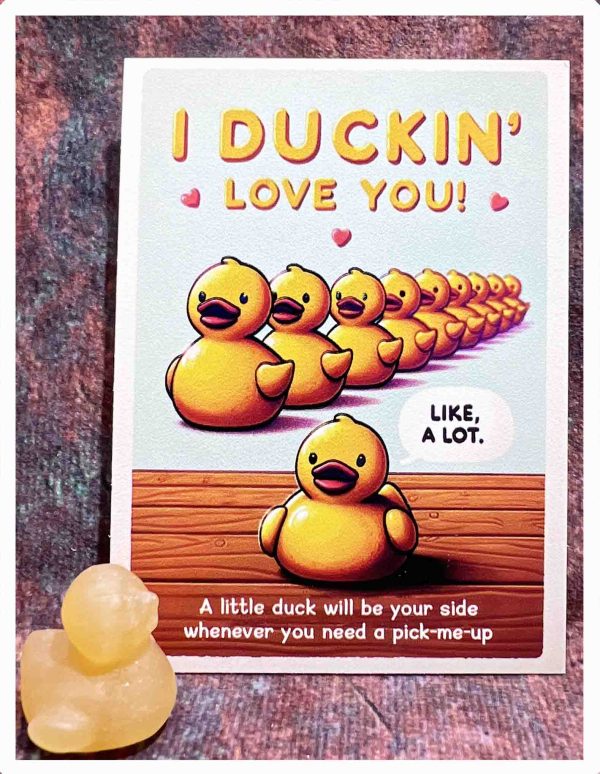 crystal duck - 图片 4