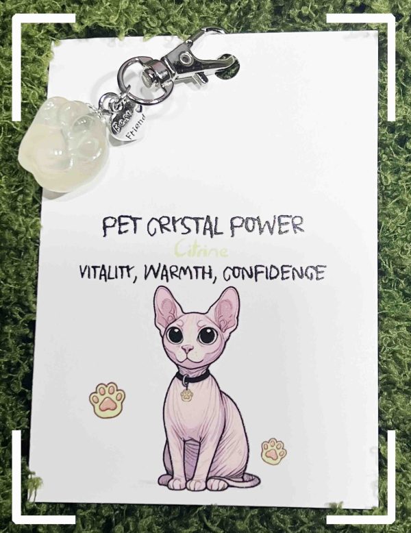 Crystal Cat Paw Pendant for Healing and Comfort - 图片 8
