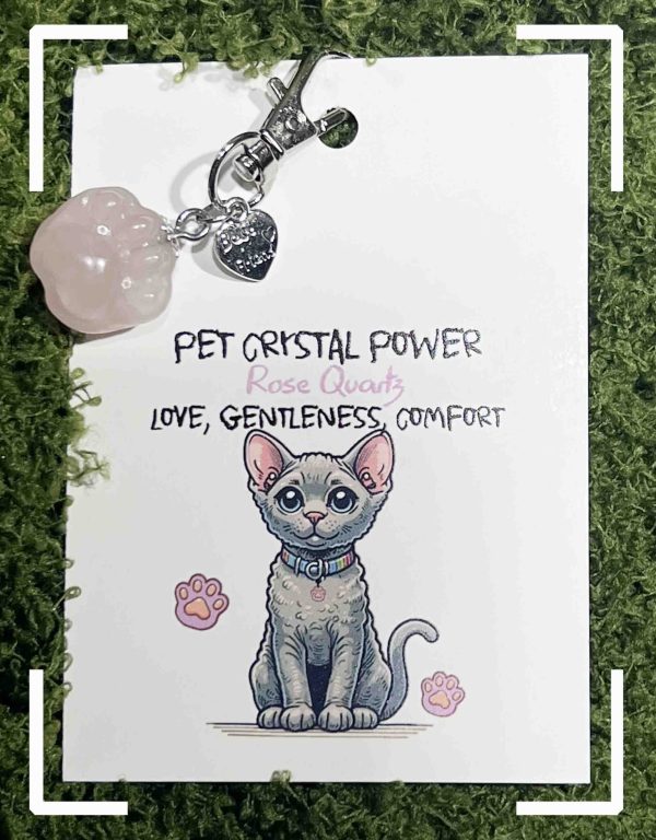 Crystal Cat Paw Pendant for Healing and Comfort - 图片 6